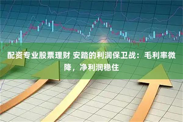 配资专业股票理财 安踏的利润保卫战：毛利率微降，净利润稳住